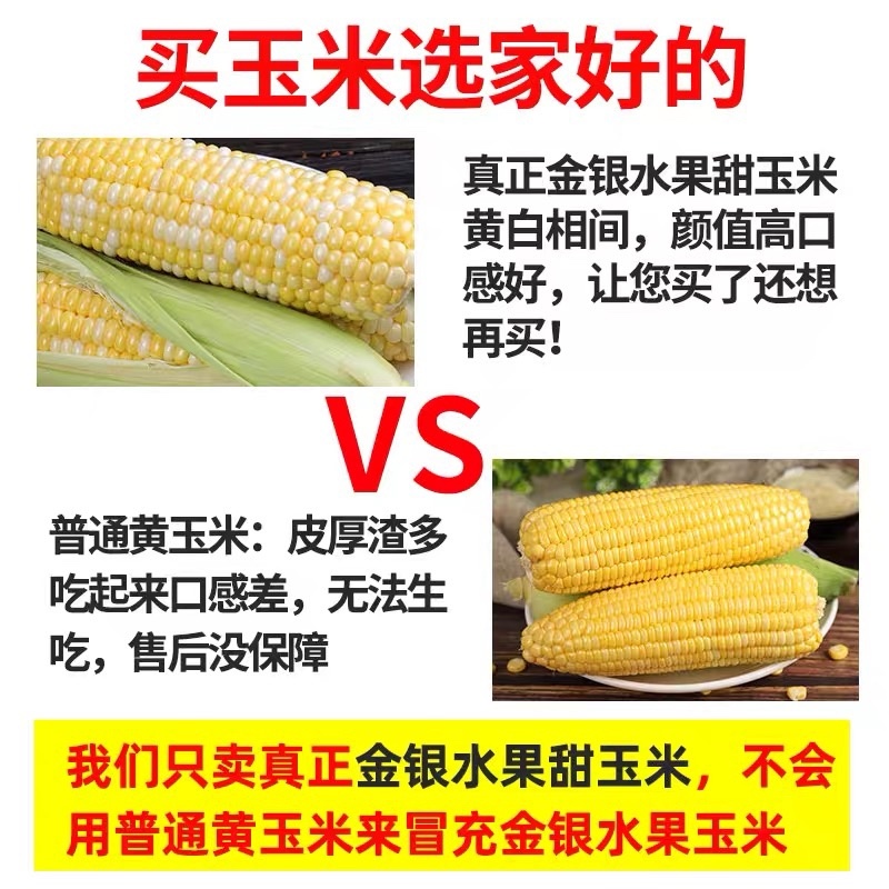 云南金银水果玉米新鲜生吃水果玉米棒子甜糯产地直发包邮