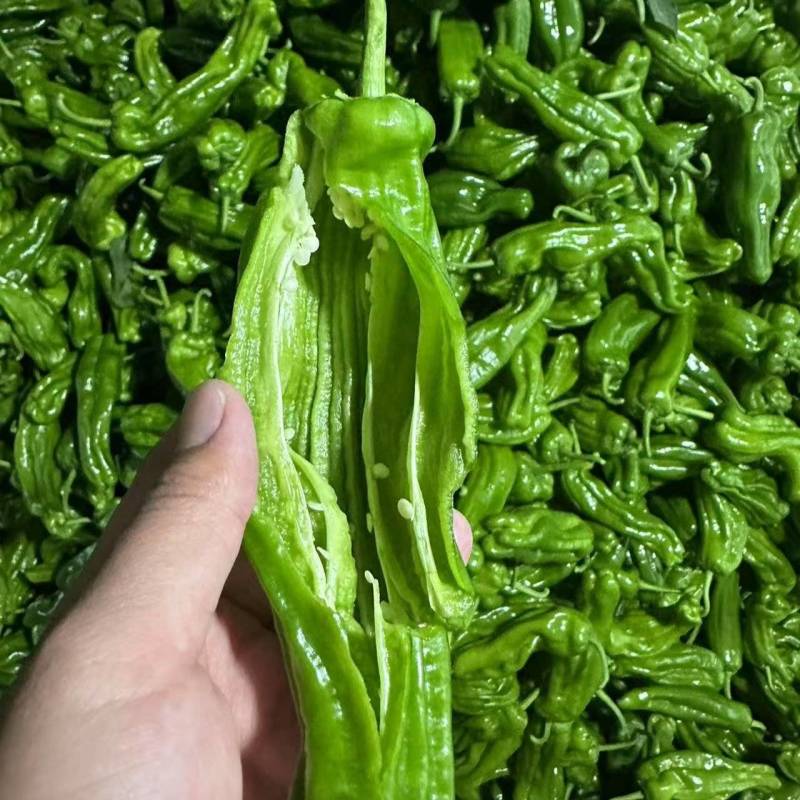 芜湖椒，价格齐全规格齐全，欢迎全国各地老板前来看货收货。