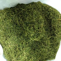 金银花全干货