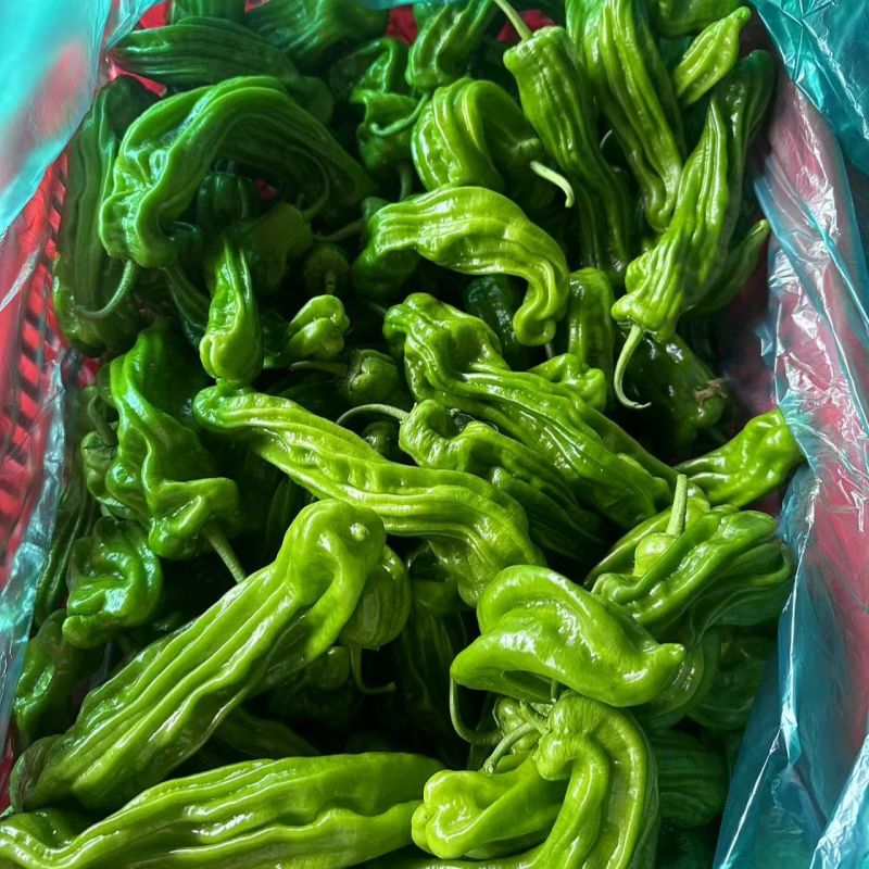 芜湖椒，价格齐全规格齐全，欢迎全国各地老板前来看货收货。