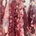 牛肉四分体牛肉，精修去油纯干货包含牛前牛后牛腩肋条牛腱子