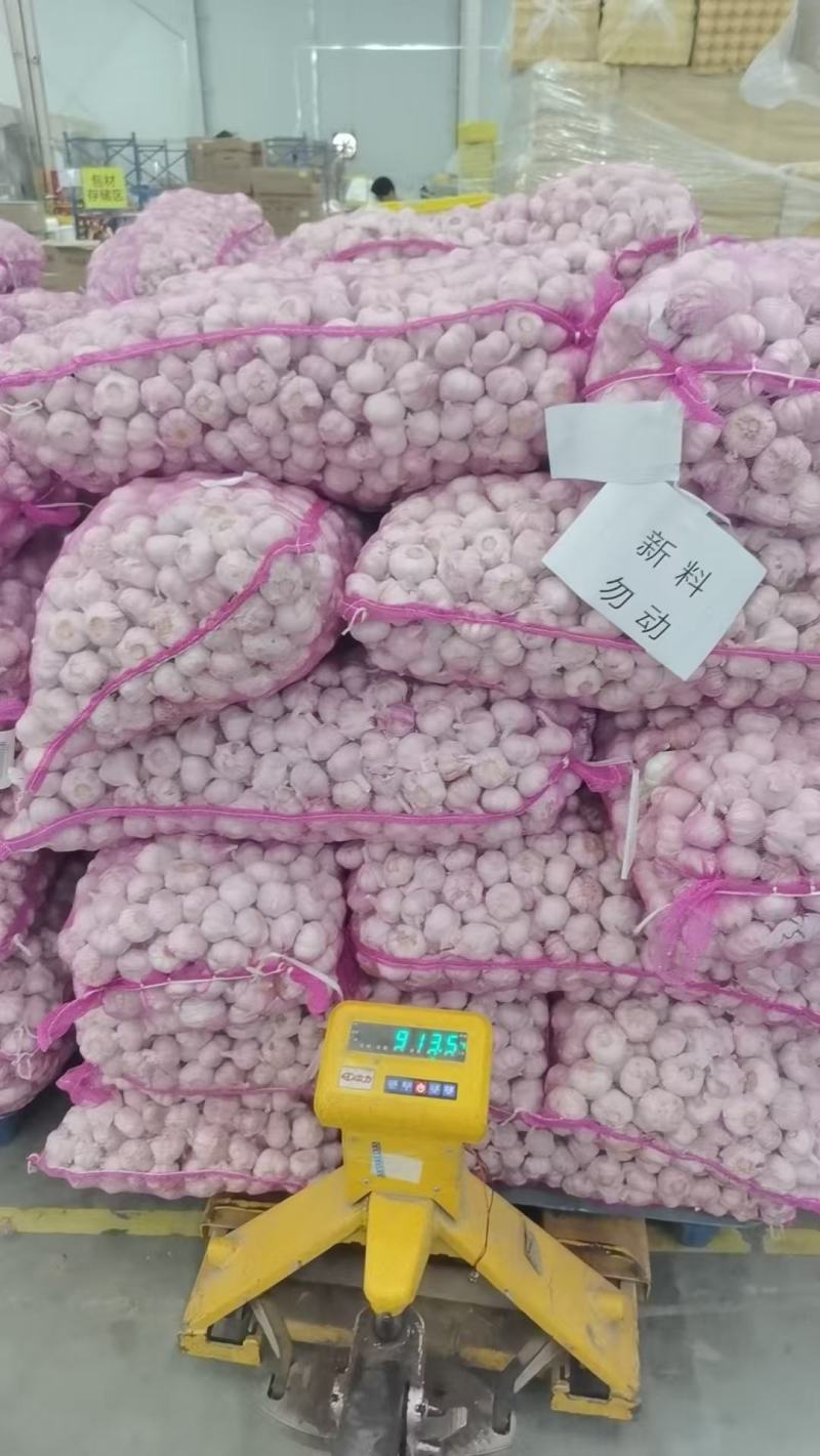 干大蒜源头产地批发直供，各市场，商超，电商可高质量供应