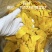 芒果干碎片，电商可用！