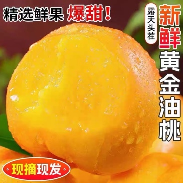 山东蒙阴黄油桃新鲜水果现摘现发黄金肉蜜