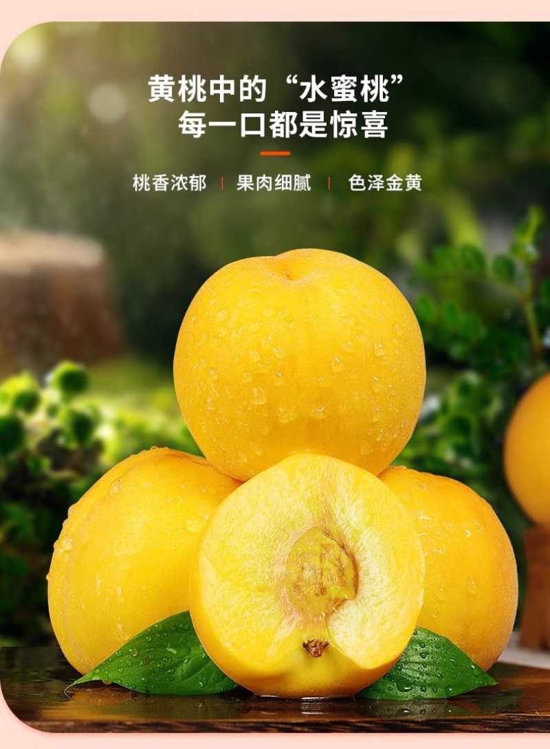 山东蒙阴黄油桃新鲜水果现摘现发黄金肉蜜