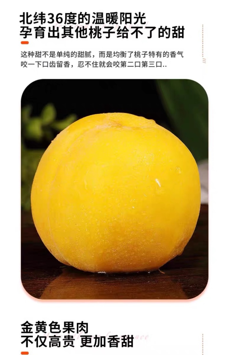 山东蒙阴黄油桃新鲜水果现摘现发黄金肉蜜