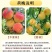 山东蒙阴黄油桃新鲜水果现摘现发黄金肉蜜