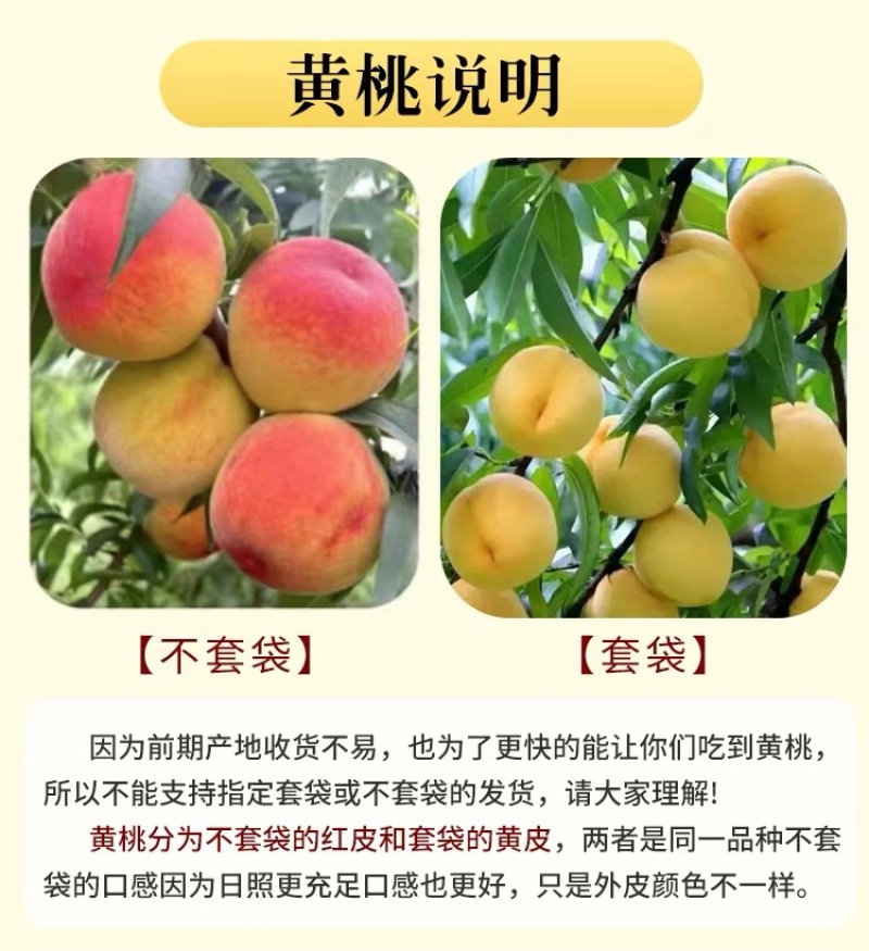 山东蒙阴黄油桃新鲜水果现摘现发黄金肉蜜