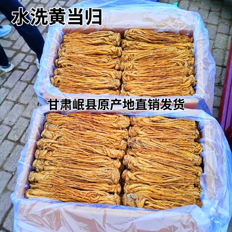 水洗黄当归，物优价廉，质量保证，全国包邮。