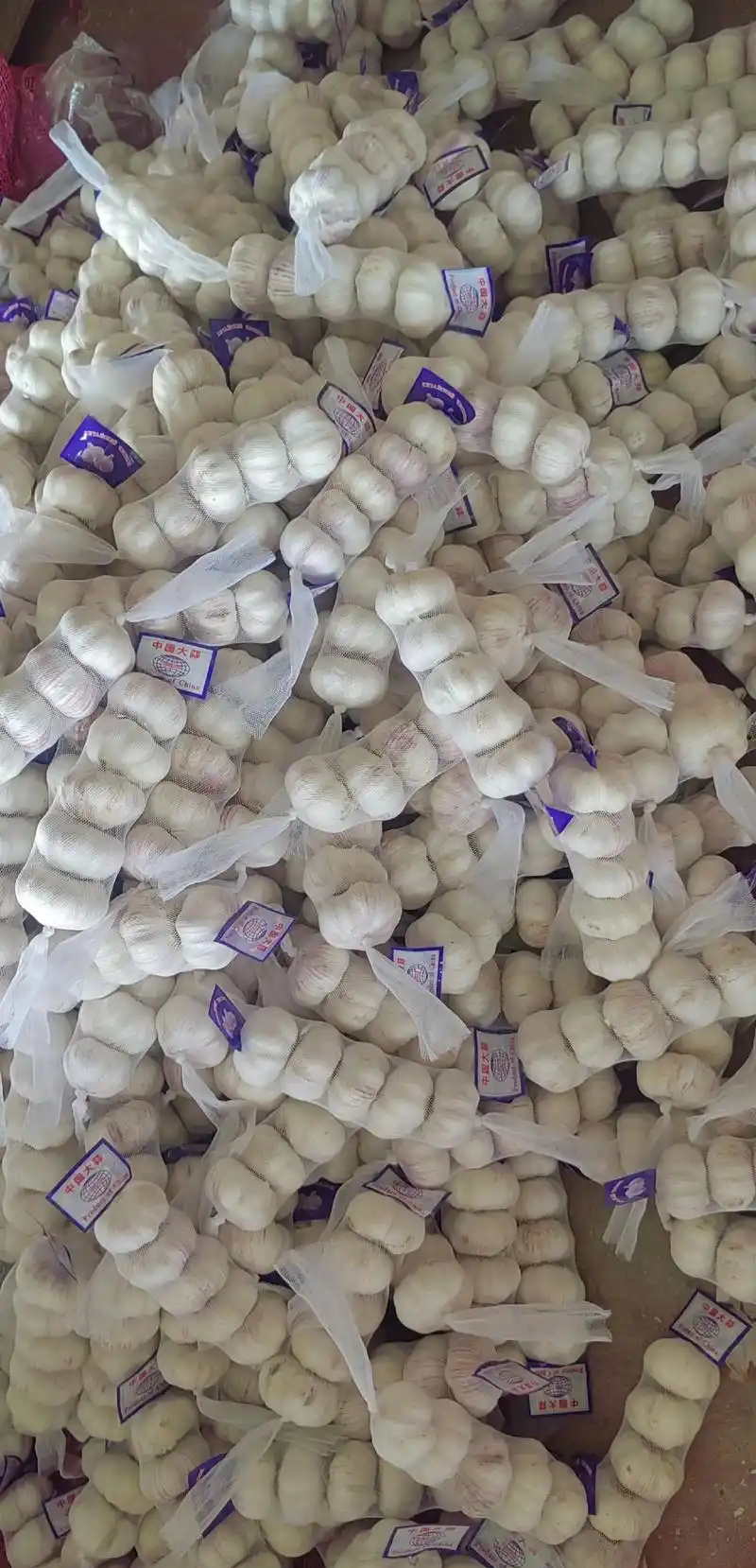 河南宁陵大蒜精品装，30405060专业**