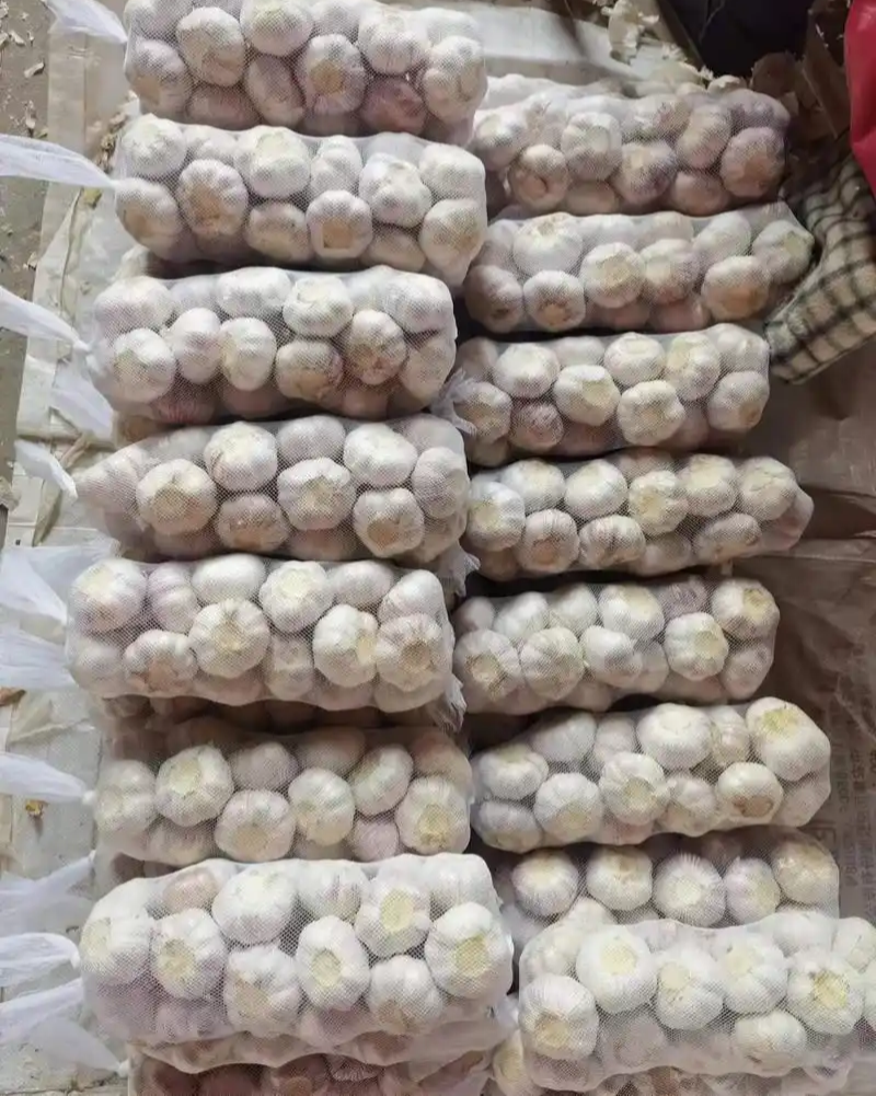 河南宁陵大蒜精品装，30405060专业**