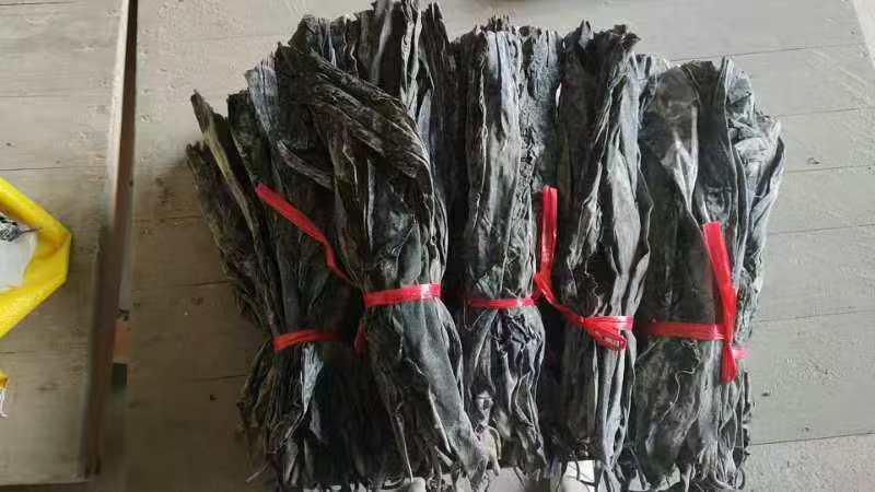 精品海带头
