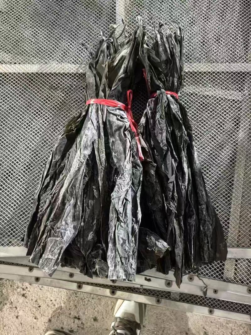 精品海带头