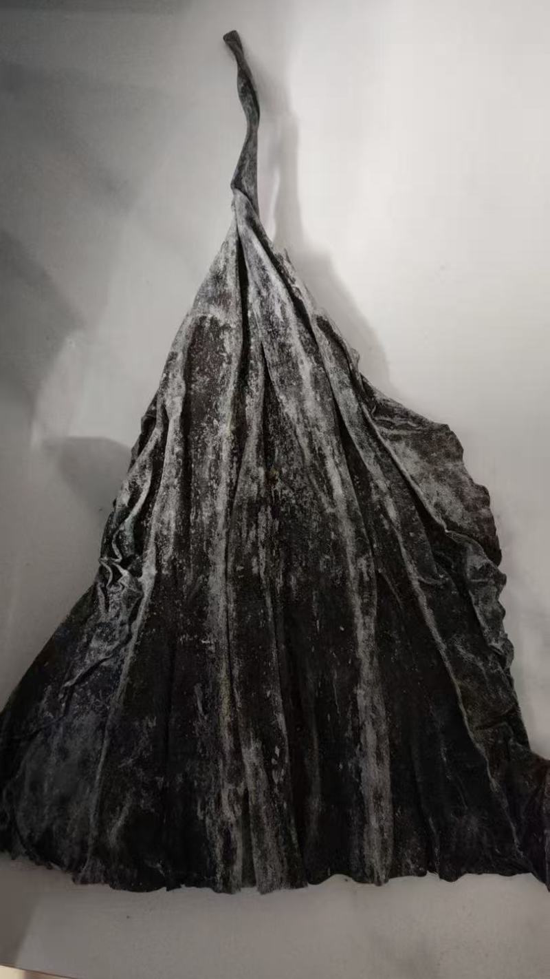 精品海带头