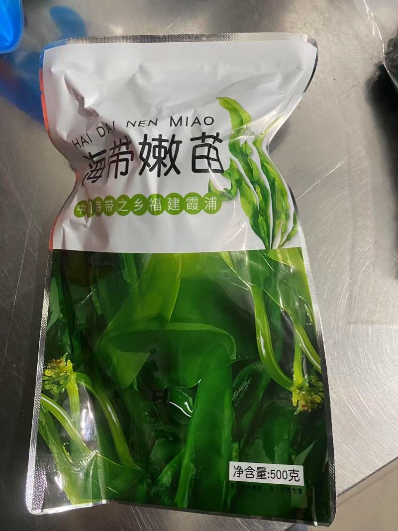 海带苗