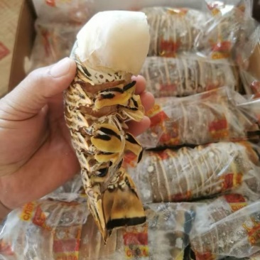 古巴龙虾尾，原装进口干冰的，规格齐全，现货！