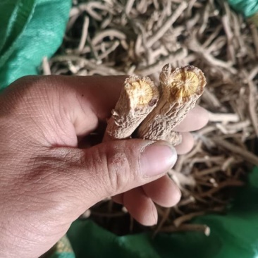 有三吨多板蓝根，有要的老板联系***********