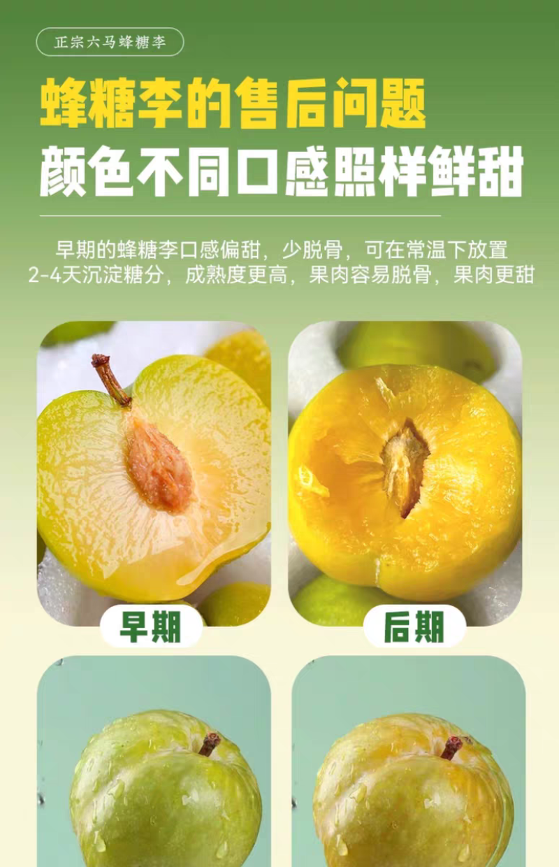 正宗贵州六马蜂糖李子新鲜水果现摘新鲜孕妇水果脆甜蜂糖