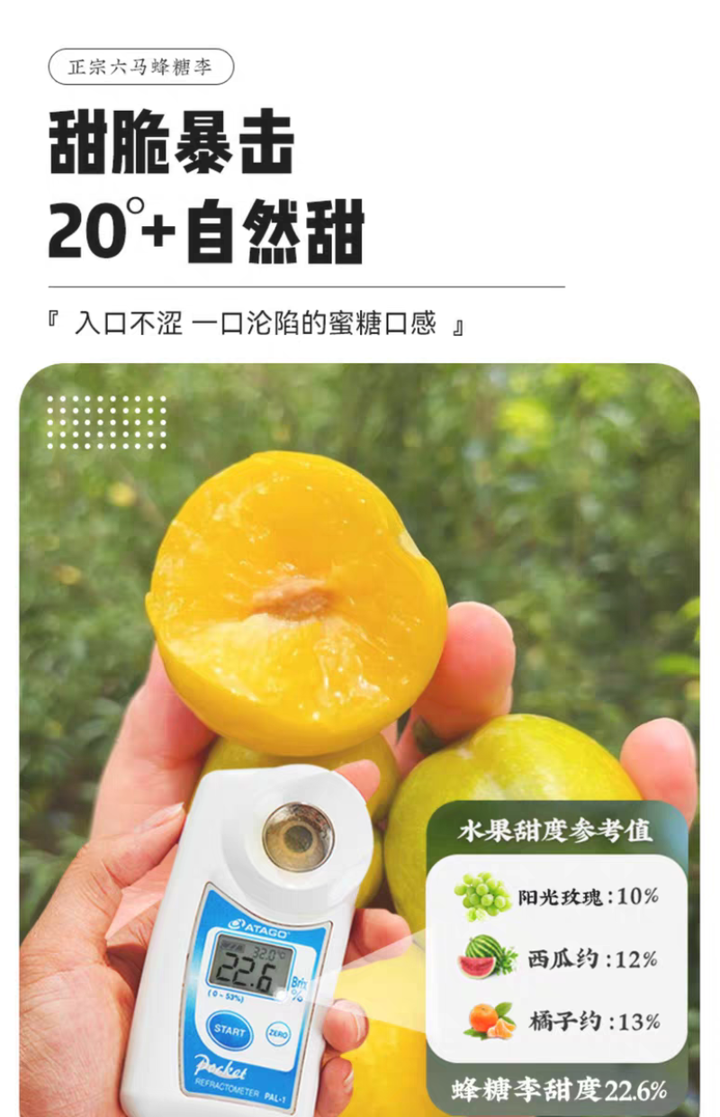 正宗贵州六马蜂糖李子新鲜水果现摘新鲜孕妇水果脆甜蜂糖