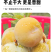 正宗贵州六马蜂糖李子新鲜水果现摘新鲜孕妇水果脆甜蜂糖