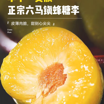 正宗贵州六马蜂糖李子新鲜水果现摘新鲜孕妇水果脆甜蜂糖
