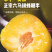 正宗贵州六马蜂糖李子新鲜水果现摘新鲜孕妇水果脆甜蜂糖