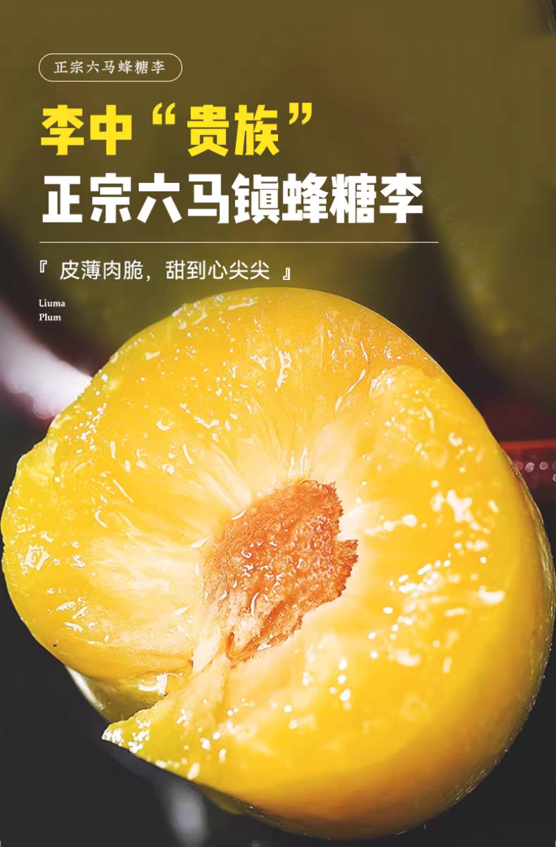 正宗贵州六马蜂糖李子新鲜水果现摘新鲜孕妇水果脆甜蜂糖