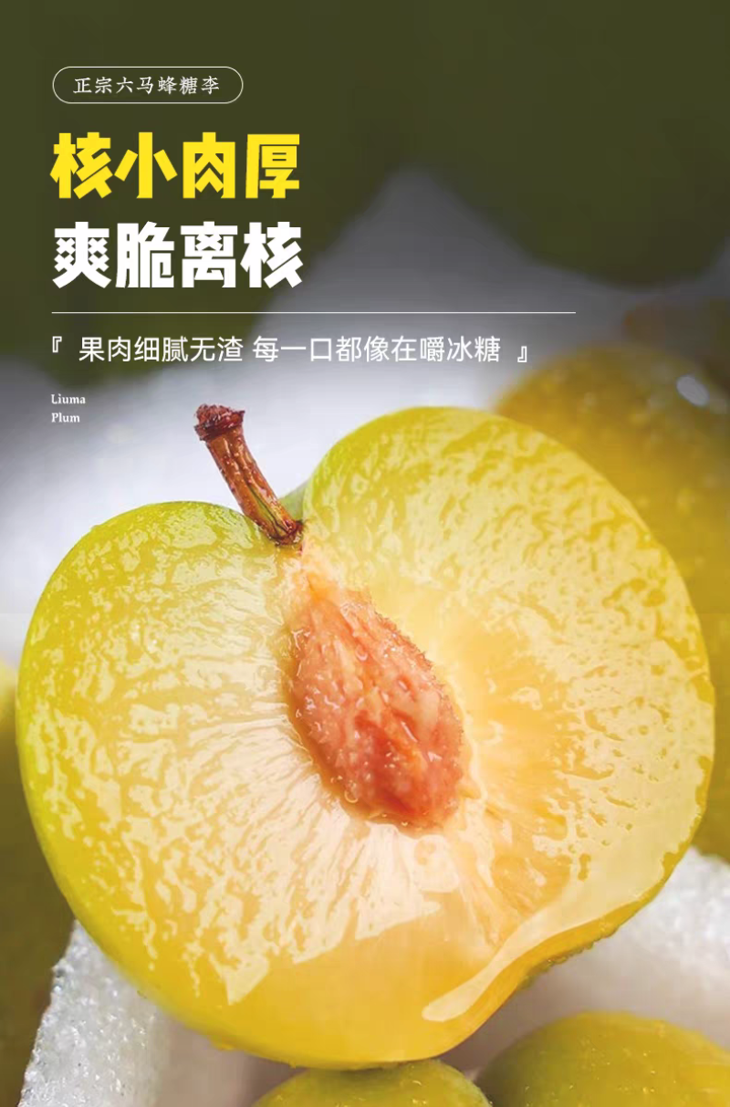 正宗贵州六马蜂糖李子新鲜水果现摘新鲜孕妇水果脆甜蜂糖
