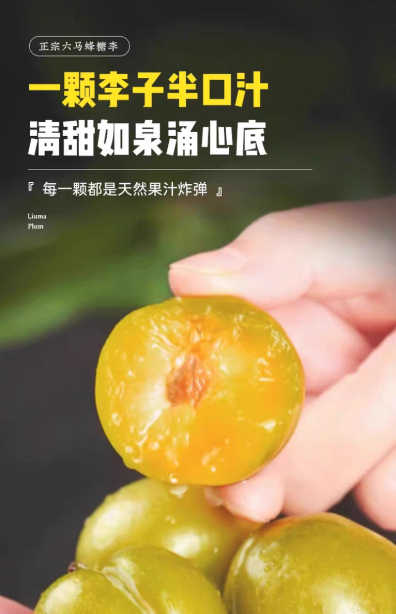 正宗贵州六马蜂糖李子新鲜水果现摘新鲜孕妇水果脆甜蜂糖