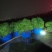 产地直采新鲜空心菜脆嫩爽口量大从优