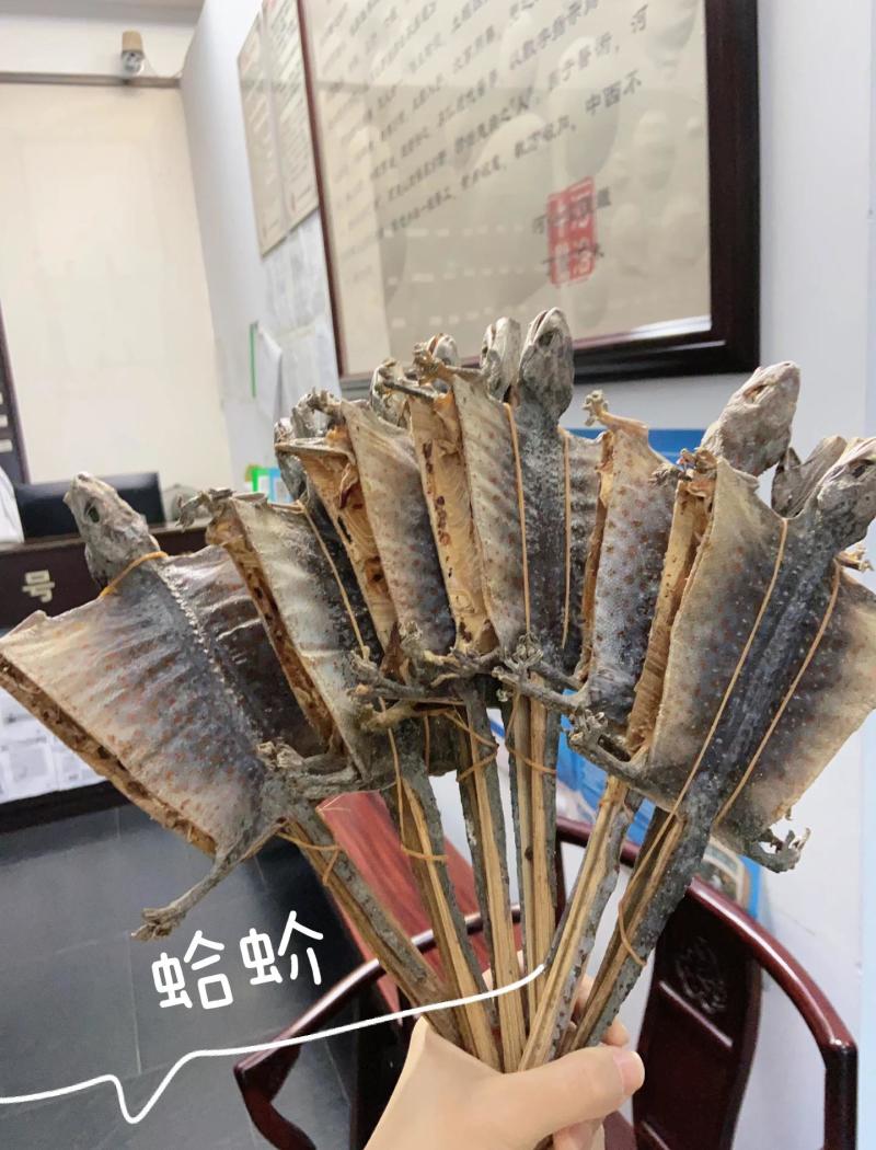壁虎大壁虎全干开膛撑开货需要排单就可以线上交易售后无忧