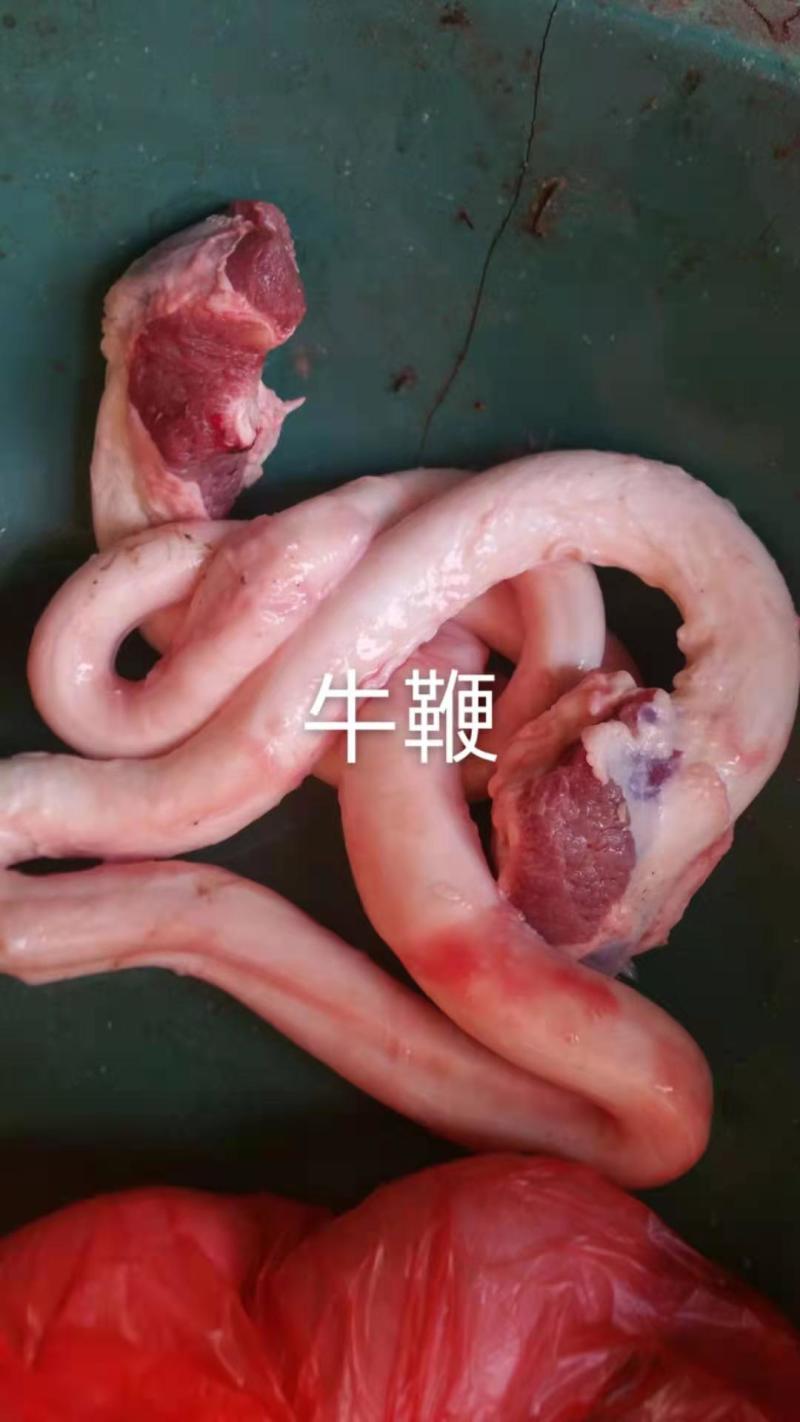 牛鞭