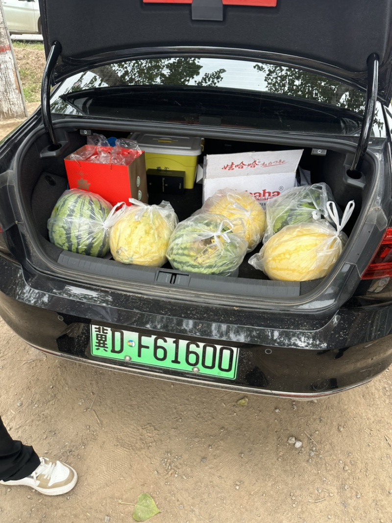 美都麒麟西瓜植根头茬，鸡粪种植口感**