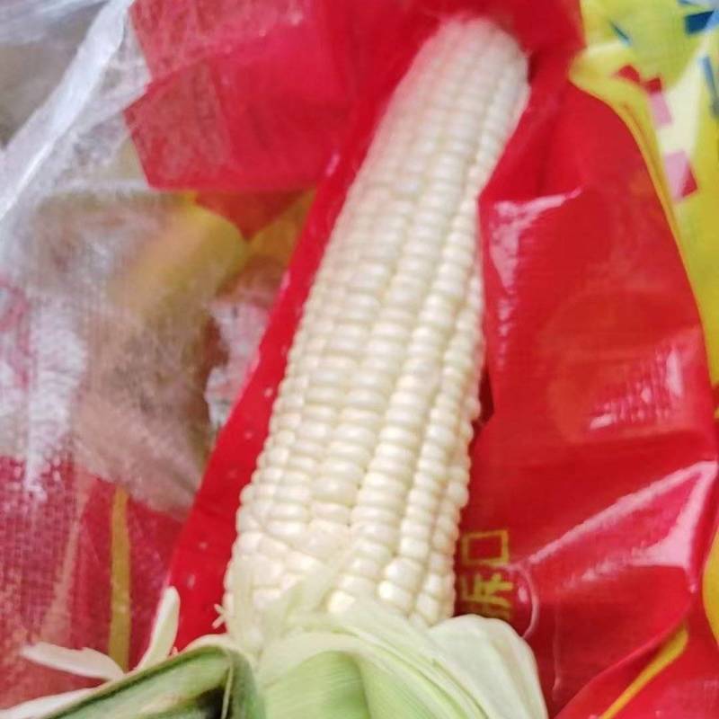 粘玉米