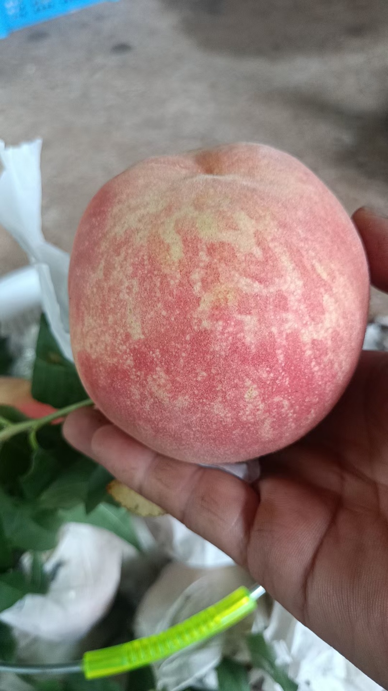龙泉驿手撕水蜜桃