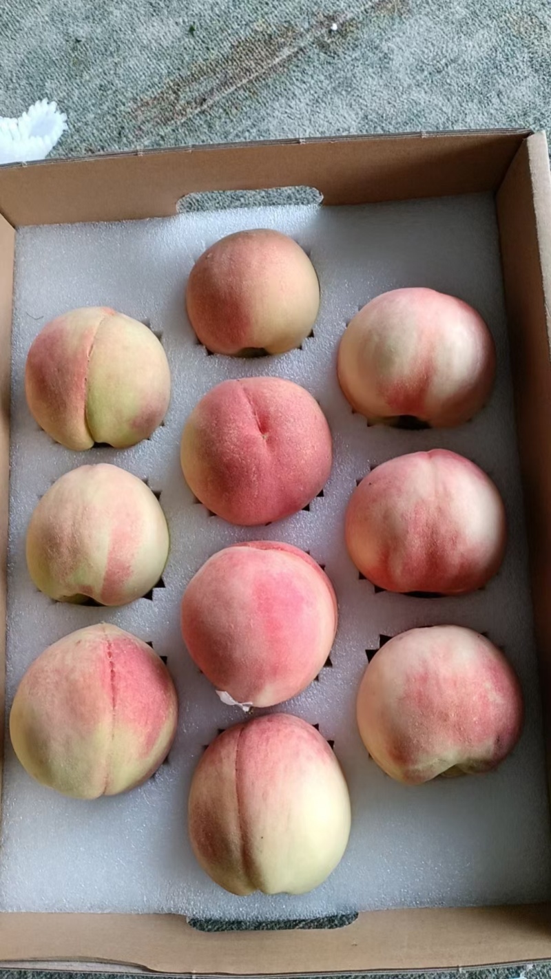 龙泉驿手撕水蜜桃