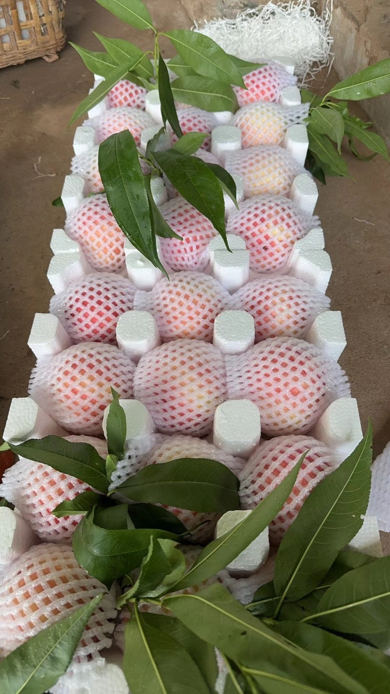 龙泉驿手撕水蜜桃