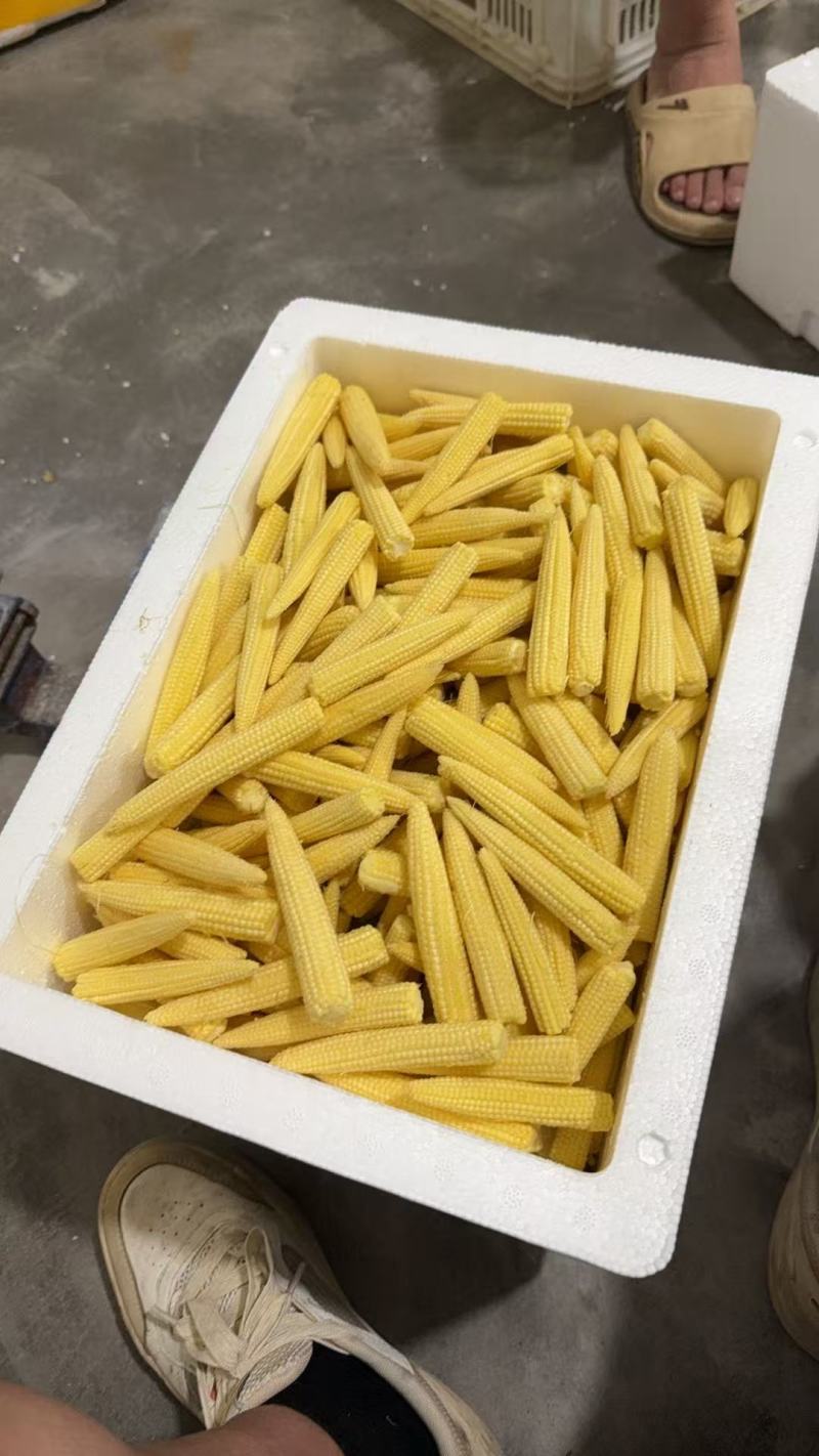散装精品小笋