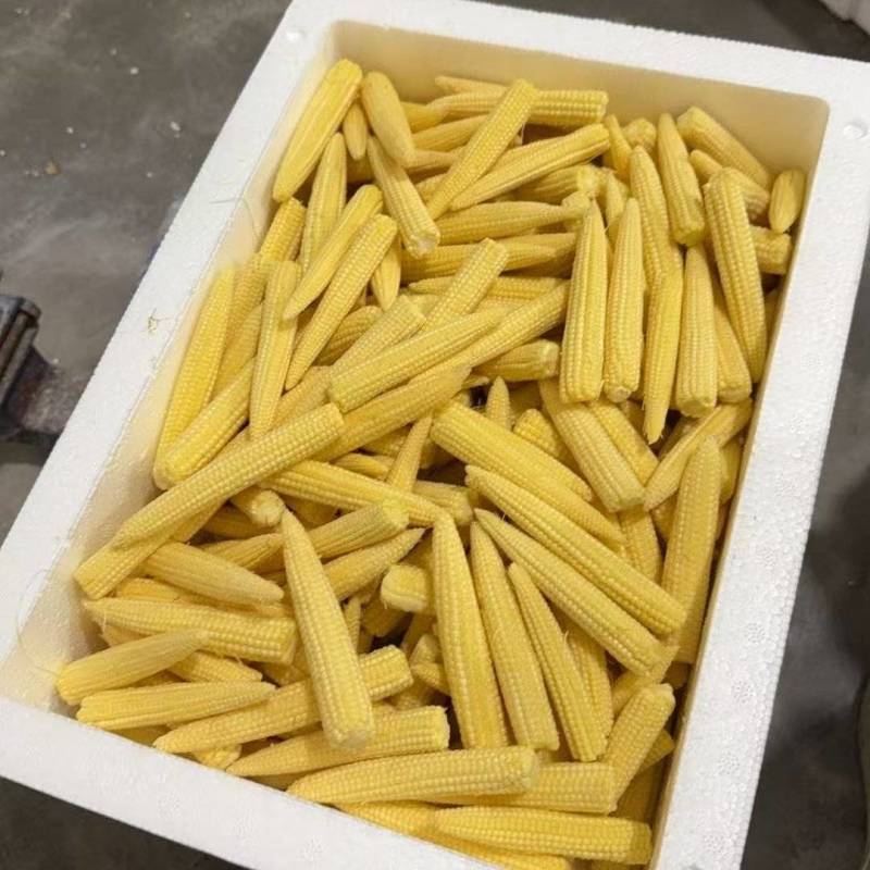 散装精品小笋