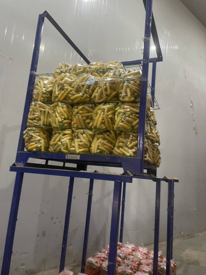 新鲜水洗黄胡萝卜小条