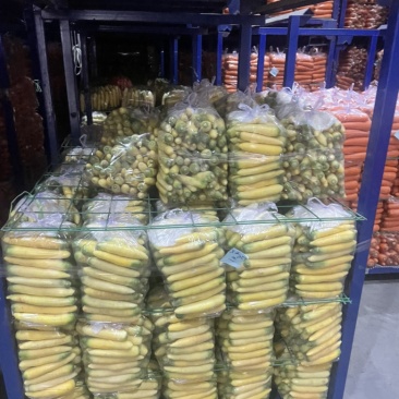 新鲜水洗黄胡萝卜小条