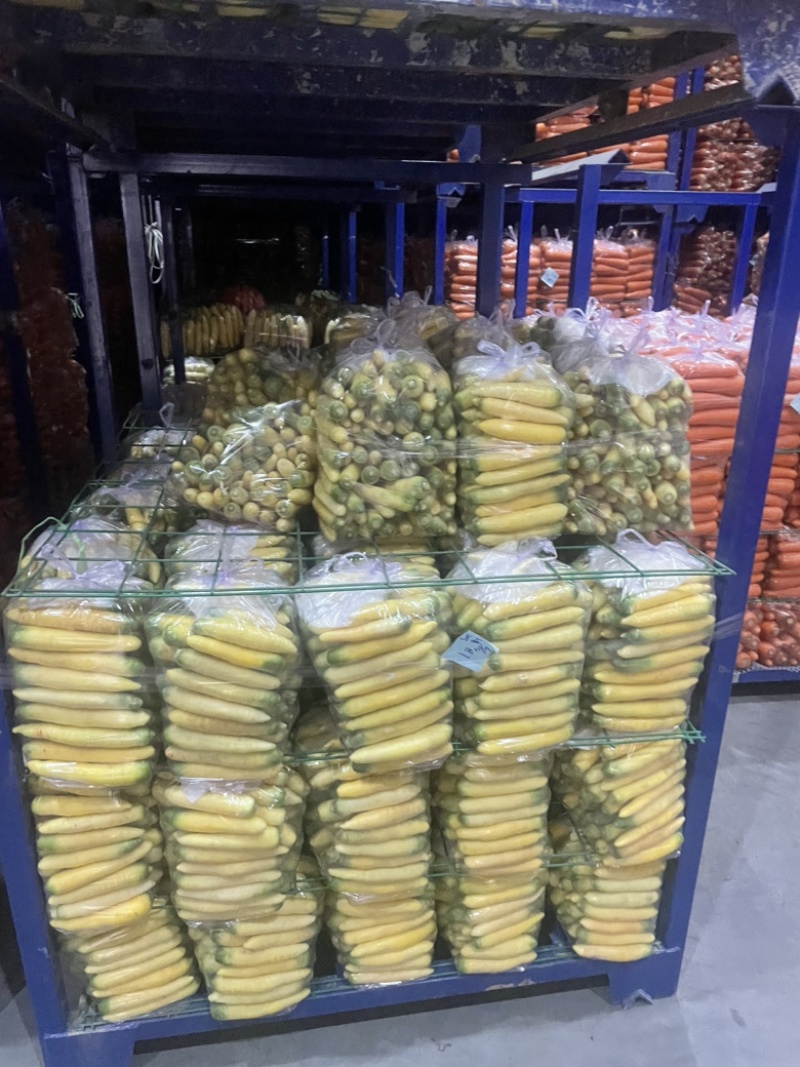 新鲜水洗黄胡萝卜小条