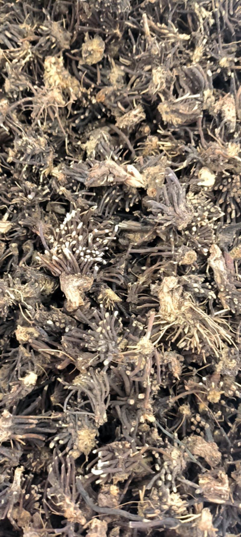 威灵仙，两种规格，货真价实，产地直销，。