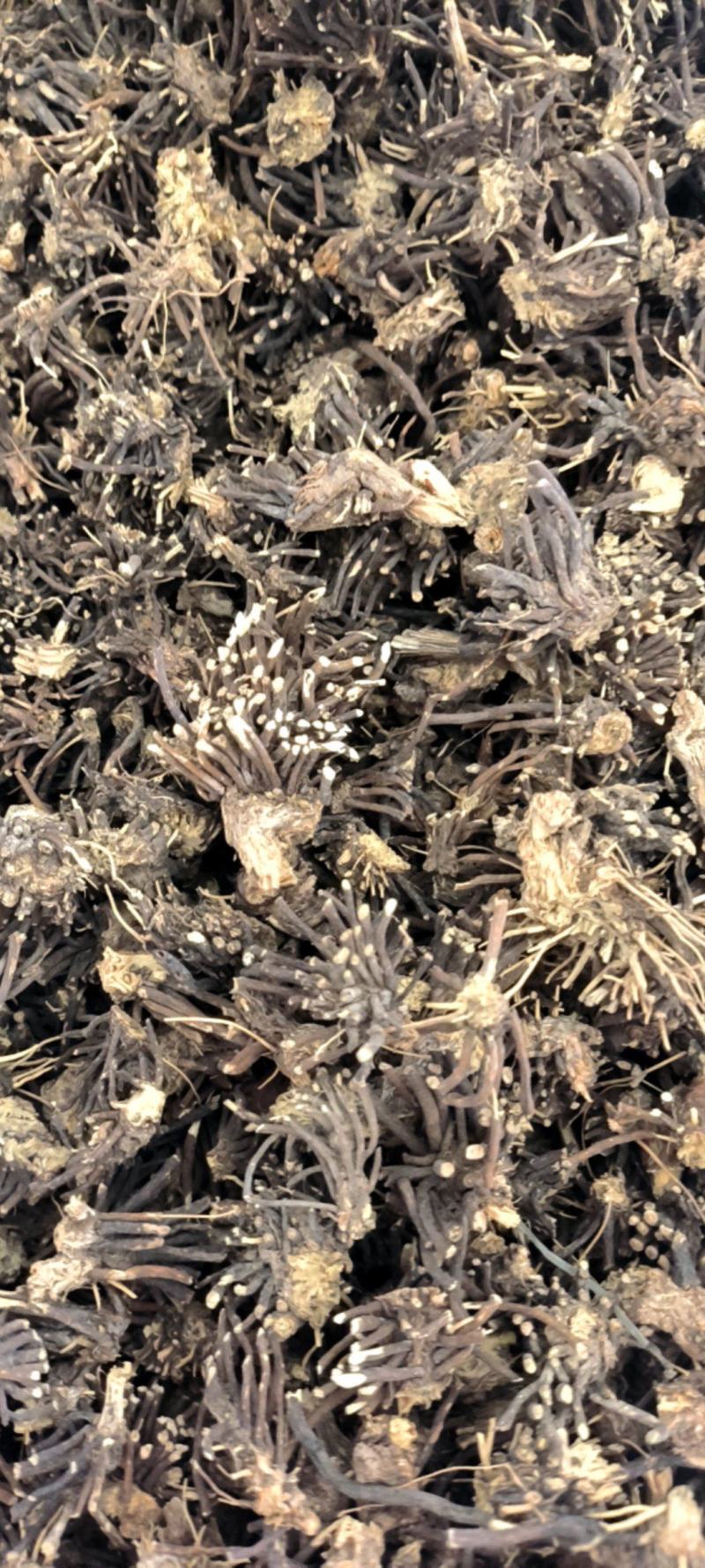 威灵仙，两种规格，货真价实，产地直销，。