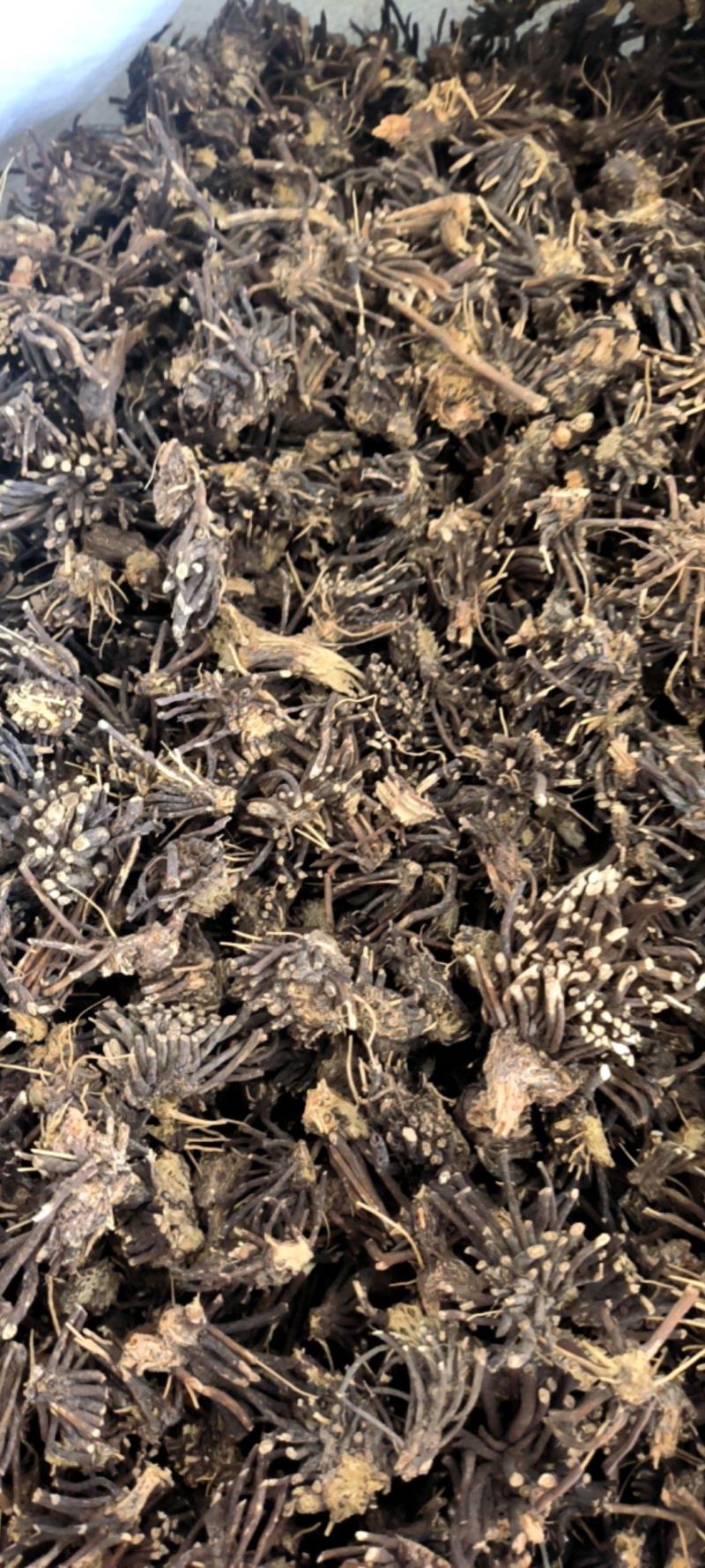 威灵仙，两种规格，货真价实，产地直销，。