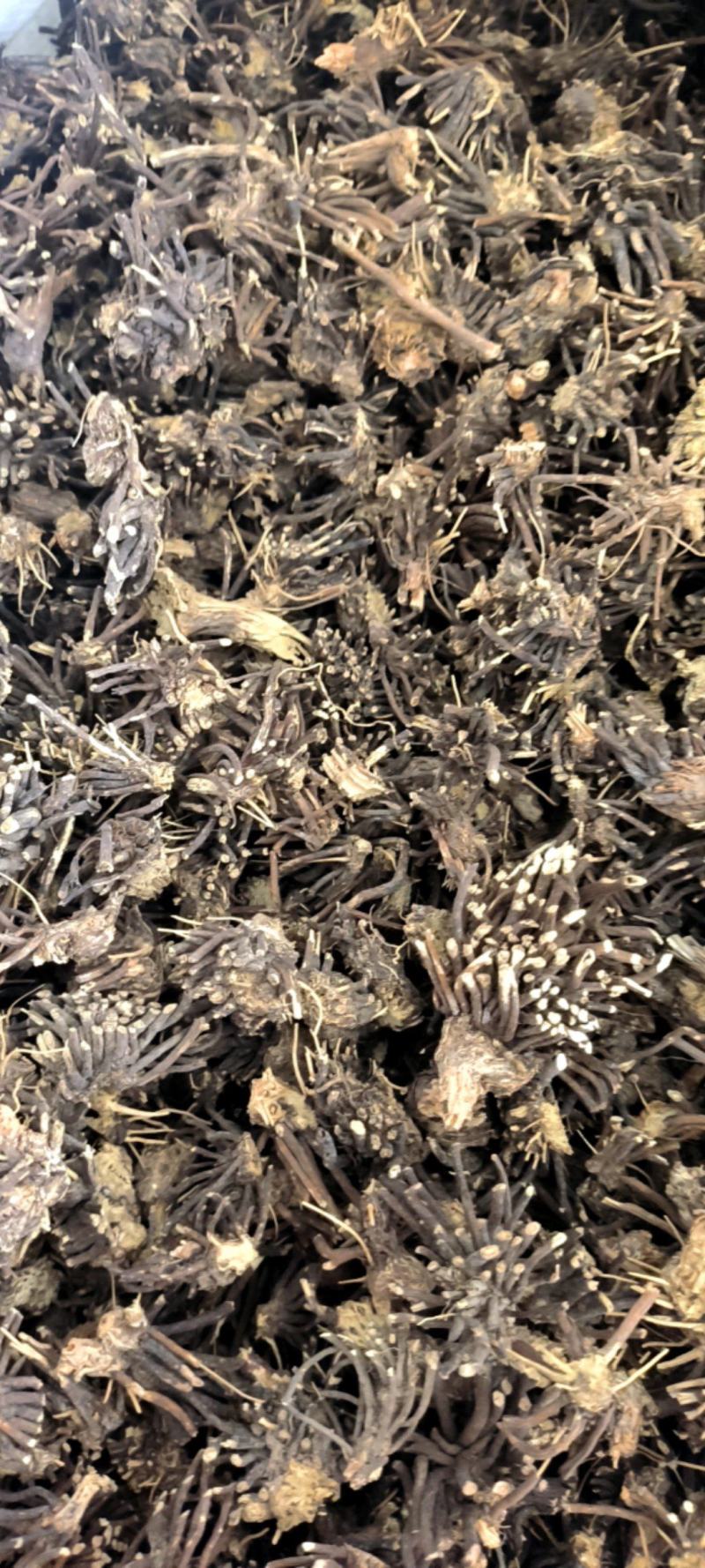 威灵仙，两种规格，货真价实，产地直销，。