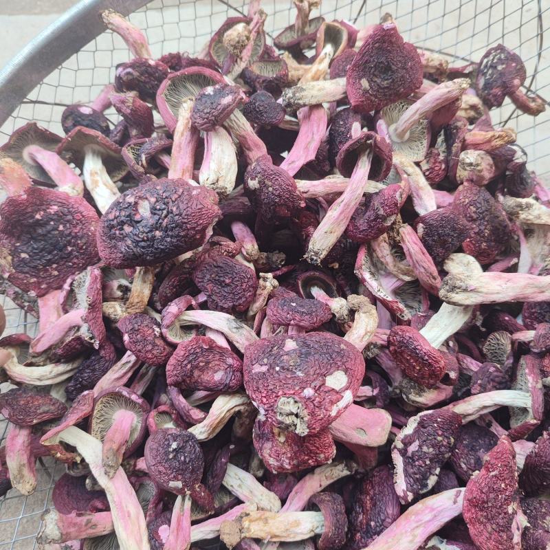 2025年新菇，红菇，红菌，可发新鲜货