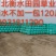 牛羊草料，黄储，玉米秸秆