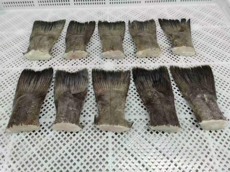 鲽鱼尾