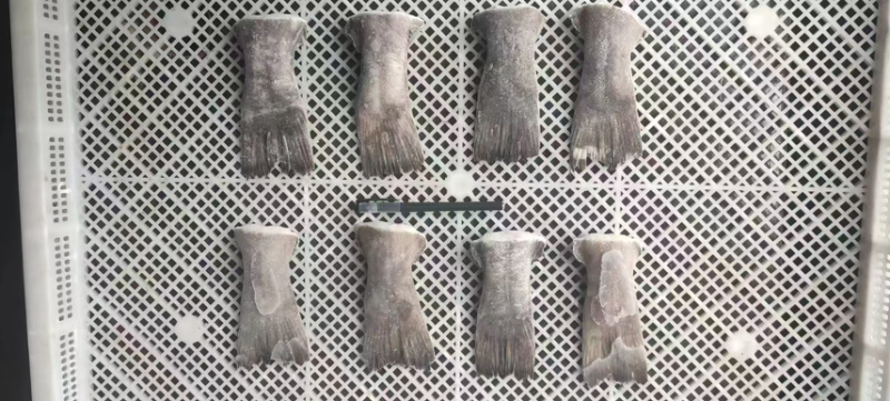 鲽鱼尾